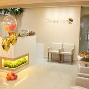 PROJETO FRANQUIAS DEPPYL.COM PARA TODO O BRASIL imagem 10