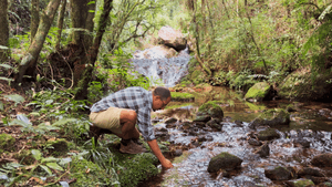 Financiamento Coletivo - Nos ajude a Preservar as Aguas e Apoie Vida em Comunidade na Serra da Mantiqueira