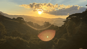 Crowdfunding - Nos ajude a Preservar as Aguas e Apoie Vida em Comunidade na Serra da Mantiqueira