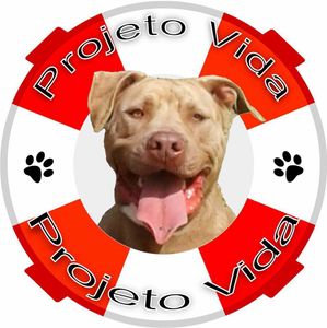 Precisamos de Padrinhos mensais para nossos cães