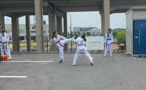 Realize o sonho da nossa campeã: Ajude nossa atleta a representar o Brasil no Campeonato Internacional na Coreia! imagem 7