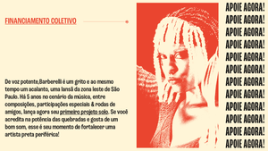 Financiamento Coletivo - Barbarelli 