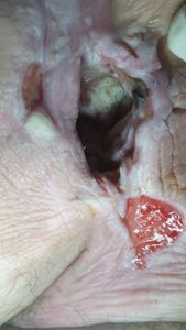 Saúde e Emergências - Em busca de ajuda urgente