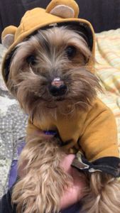 Saúde e Emergências - Tratamento oncologico Filipe !