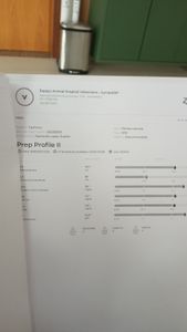 Animais - Salvem a Verinha