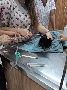 Pagar clinica  parceira 