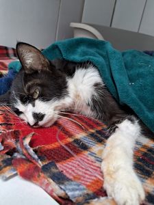 Pagar clinica  parceira 