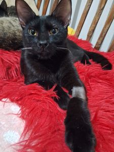 Pagar clinica  parceira  imagem 6