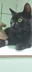 Pagar clinica  parceira 