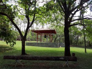 null - COLABORE COM A CULTURA DE PAZ APOIANDO A UNIPAZ DF