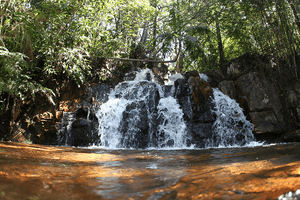 ONGs - COLABORE COM A CULTURA DE PAZ APOIANDO A UNIPAZ DF