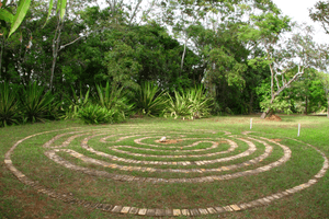 COLABORE COM A CULTURA DE PAZ APOIANDO A UNIPAZ DF