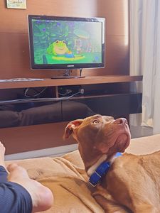 Missão Apolo  imagem 6