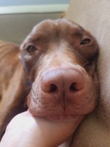 Missão Apolo  imagem 9