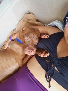 São Paulo/SP - Missão Apolo 