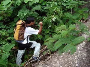 Pré-lançamento do livro RUMO AO DESCONHECIDO - A história da conquista de grandes montanhas brasileiras imagem 7