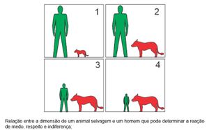 Aliens: ameaça ou aliados? imagem 7