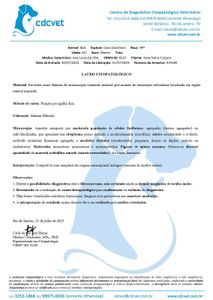 Ajuda para salvar o Bob