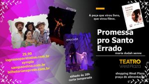 Promessa pro santo errado- história real. imagem 9