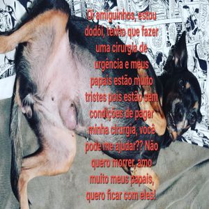 Saúde e Emergências - Sua DOAÇÃO pode Salvar  a SELLMA🙏🙏