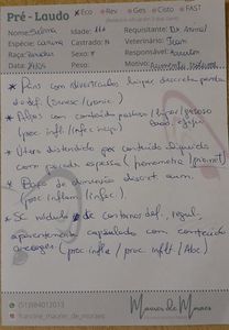 Ajude a SELLMA - Sua DOAÇÃO pode Salvar  a SELLMA🙏🙏