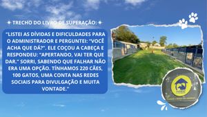 Ajude os animais que mais precisam! - Pré-venda do livro “Histórias que salvam vidas”: alimentando e cuidando dos peludinhos que mais precisam.