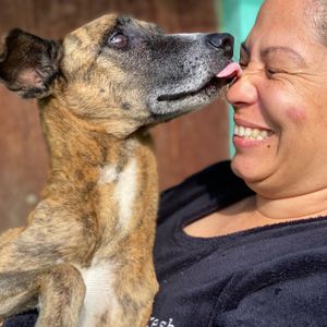 Ajude a salvar a ONG GARRA imagem 9