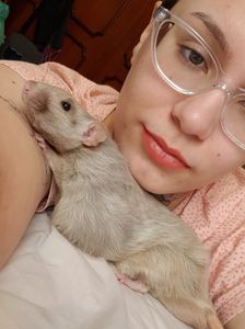 Animais - Help Thanatos 