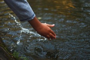 São Paulo/SP - Vivência na Natureza 2022 - Estudo do Meio Instituto UNO