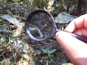 Vivência na Natureza 2022 - Estudo do Meio Instituto UNO imagem 8