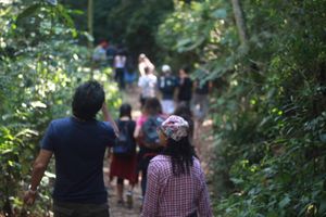 Vivência na Natureza 2022 - Estudo do Meio Instituto UNO imagem 7