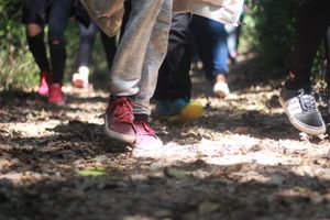 Educação - Vivência na Natureza 2022 - Estudo do Meio Instituto UNO