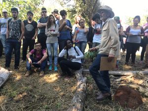 Osvaldo Junior - Agroecologia com autonomia energética.