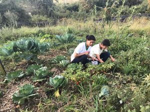 Agroecologia com autonomia energética. imagem 6
