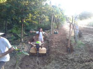 Meio ambiente - Agroecologia com autonomia energética.