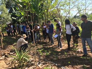 Três Pontas/MG - Agroecologia com autonomia energética.