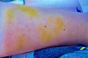 Por favor me ajudem a sobreviver… imagem 6