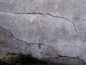 CANIL SOLIDÁRIO : REFORMAR E AMPLIAR imagem 7