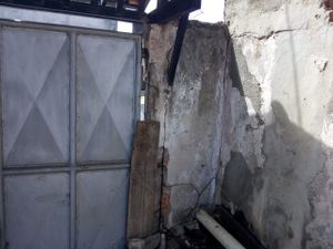 CANIL SOLIDÁRIO : REFORMAR E AMPLIAR imagem 6