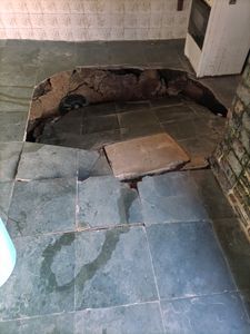 Maria Cruz - CANIL SOLIDÁRIO : REFORMAR E AMPLIAR