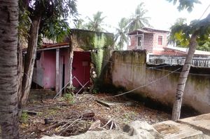 ONGs - CANIL SOLIDÁRIO : REFORMAR E AMPLIAR