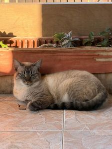 Arraial do Cabo/RJ - AJUDE A LUA | HELP LUA | AYUDA A LUA