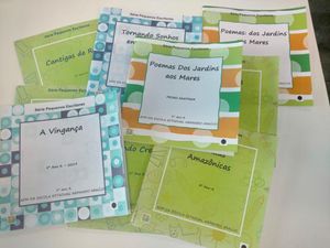 Cada criança, um escritor! imagem 9