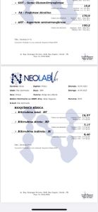 Animais - Ajuda para Sônia 🐱