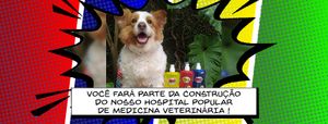 Paraíso para todos: Por um Hospital Popular Veterinário com 50% dos atendimentos gratuitos