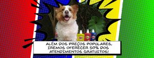 Crowdfunding - Paraíso para todos: Por um Hospital Popular Veterinário com 50% dos atendimentos gratuitos