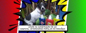 Animais - Paraíso para todos: Por um Hospital Popular Veterinário com 50% dos atendimentos gratuitos