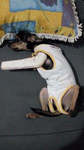 Vaquinha Online - Ajudar a Nina operar 