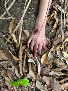 Uma Luz no Palco do Mundo: Ajude a Transformar o Sonho de Luisa em Realidade