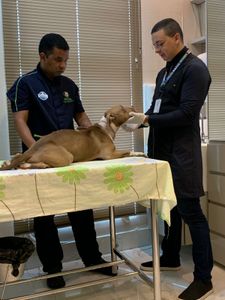 DRICA QUER VIVER! - DRICA QUER VIVER!